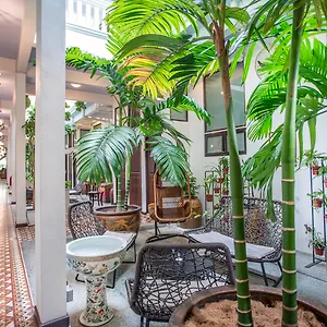 Areca Penang Georgetown
